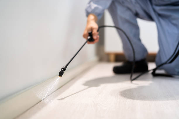 Licensed Fumigation Services service in Westhaven-Moonstone, CA - Nex Pest Control
