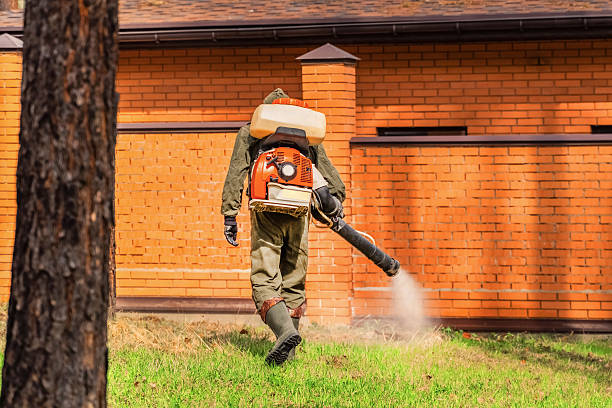 Trusted Cockroach Control service in Westhaven-Moonstone, CA - Nex Pest Control